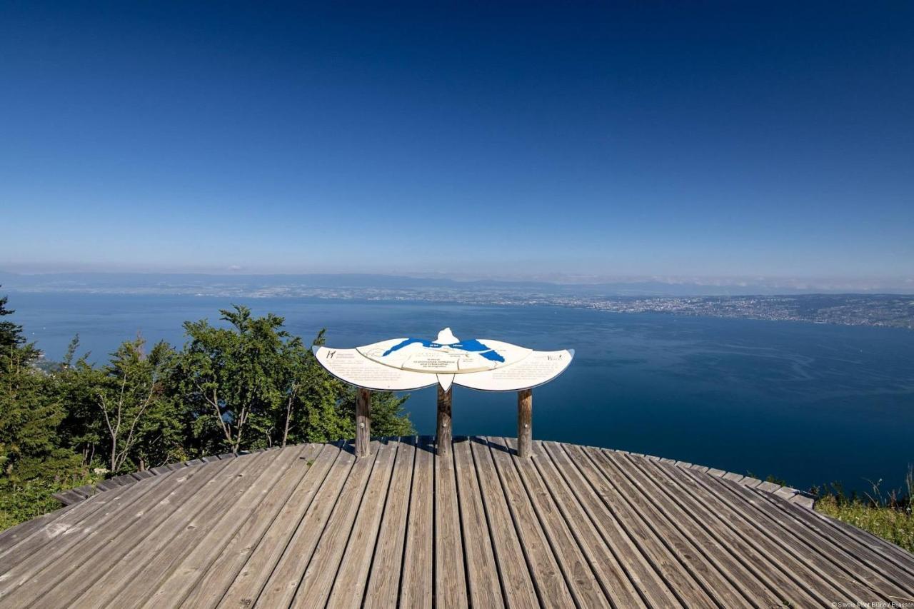 Votre Studio Balneo Bien-Etre A La Montagne Thollon-les-Memises 外观 照片