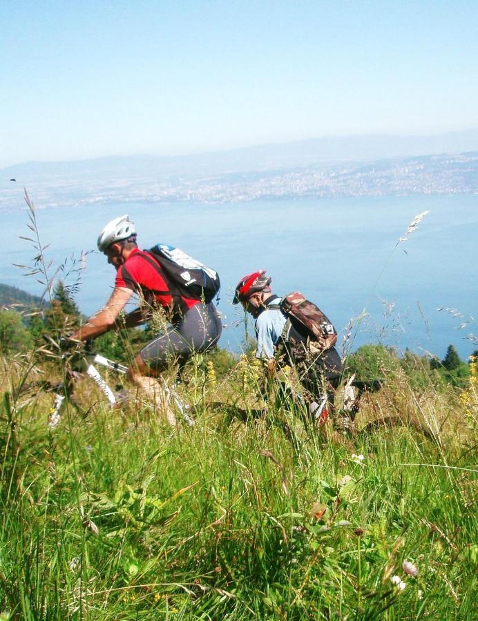 Votre Studio Balneo Bien-Etre A La Montagne Thollon-les-Memises 外观 照片