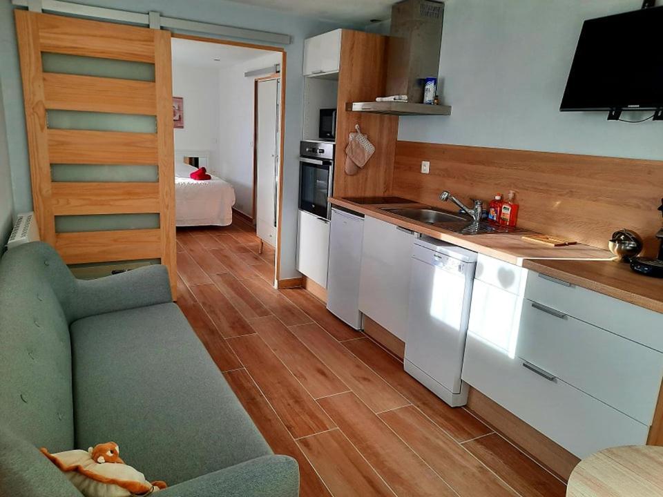 Votre Studio Balneo Bien-Etre A La Montagne Thollon-les-Memises 外观 照片