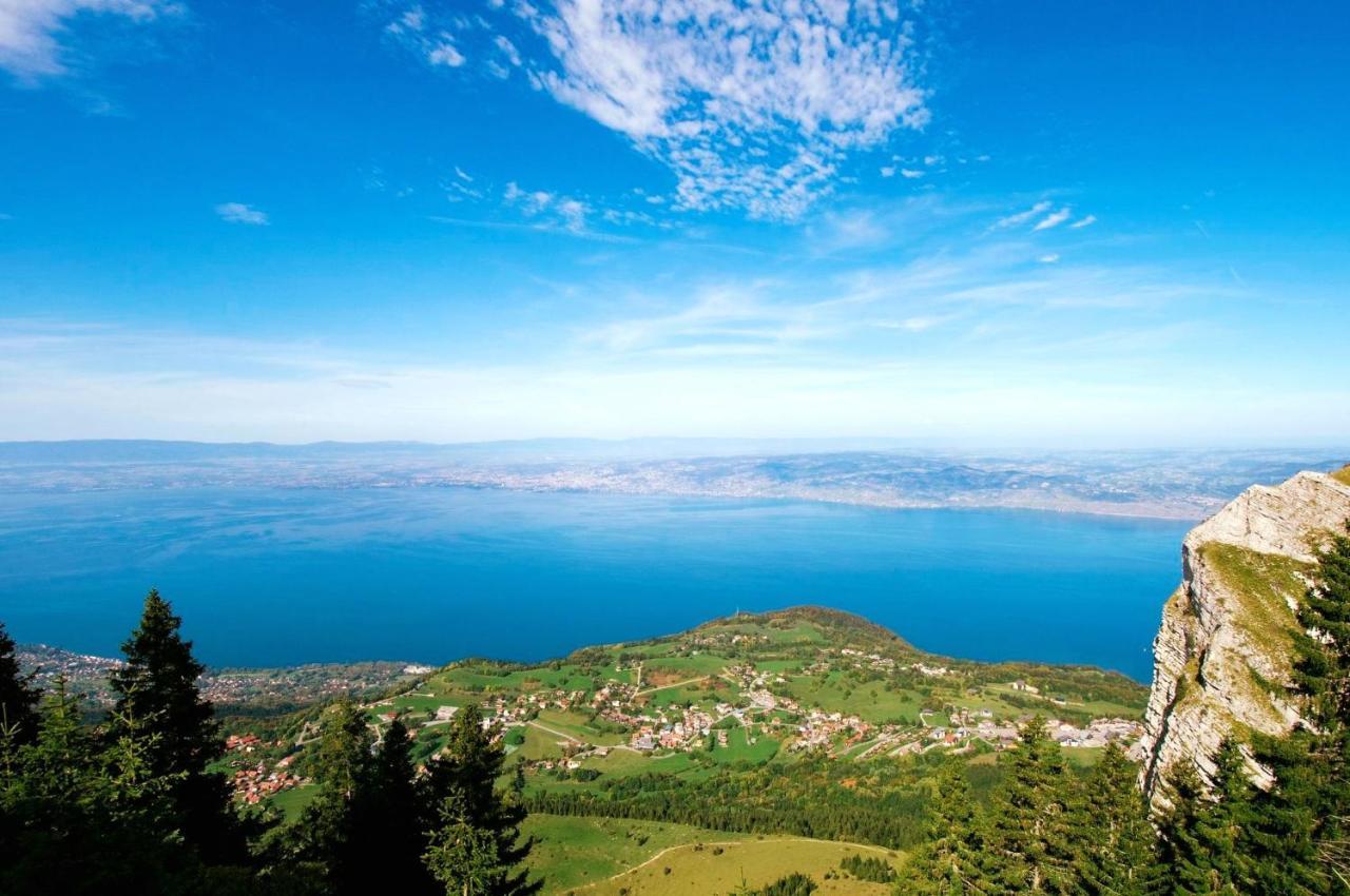 Votre Studio Balneo Bien-Etre A La Montagne Thollon-les-Memises 外观 照片