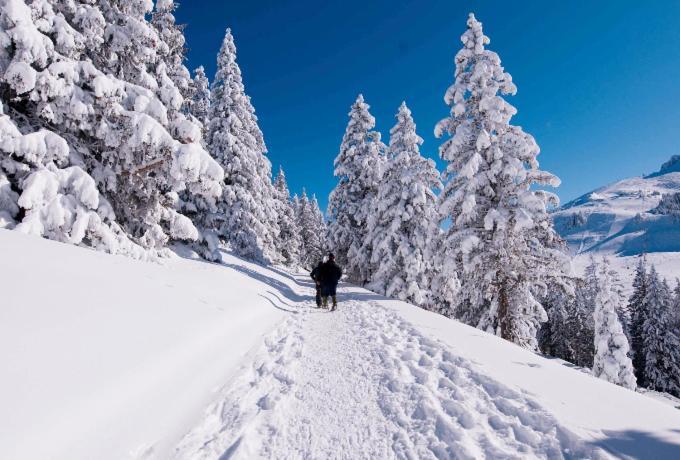 Votre Studio Balneo Bien-Etre A La Montagne Thollon-les-Memises 外观 照片